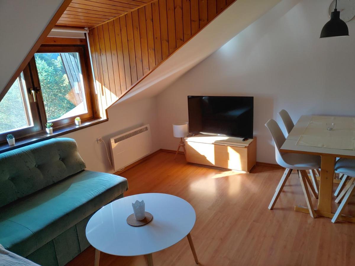 Ajda Apartment كْرانْيِسكا غورا المظهر الخارجي الصورة