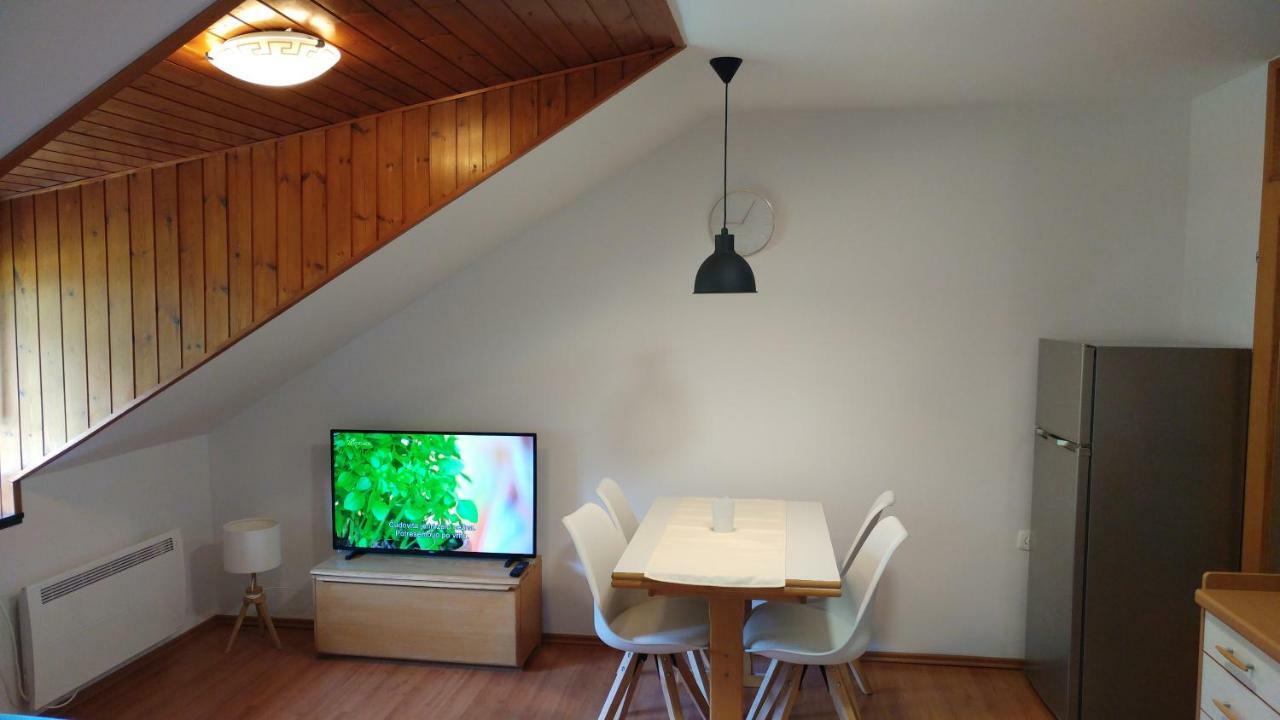 Ajda Apartment كْرانْيِسكا غورا المظهر الخارجي الصورة